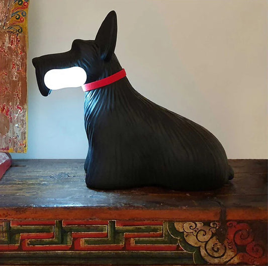 Scottish Terrier Bone Chewer