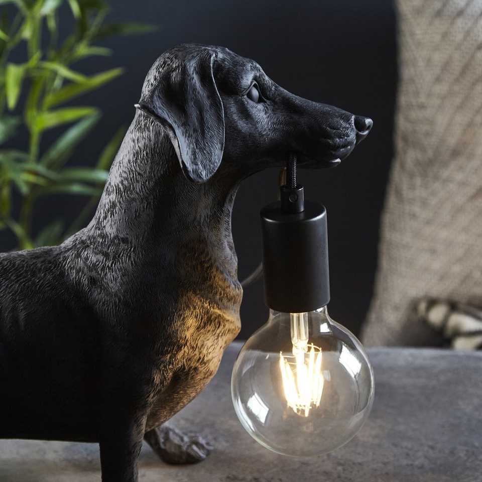 Reluctant Electrician Dachshund
