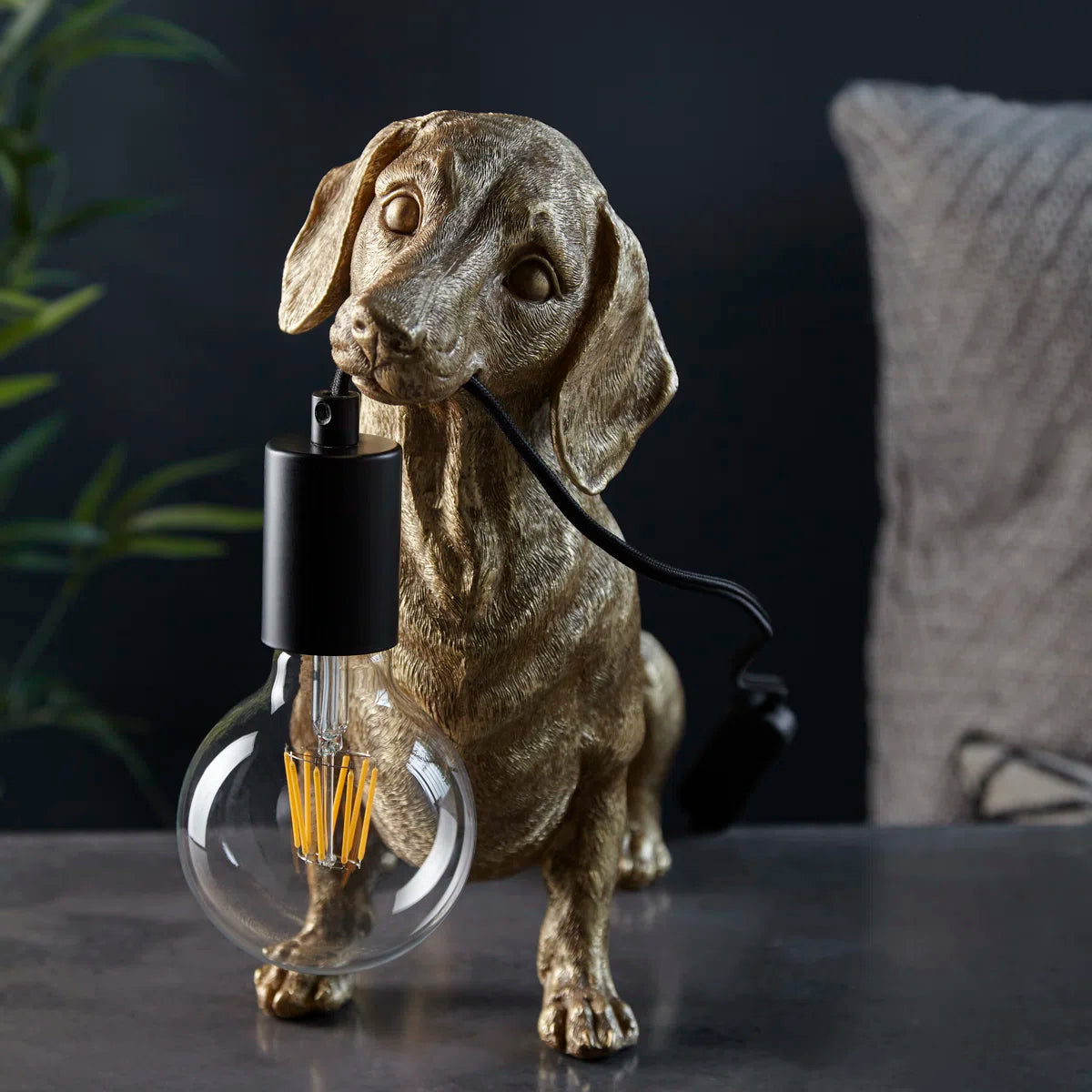 Reluctant Electrician Dachshund